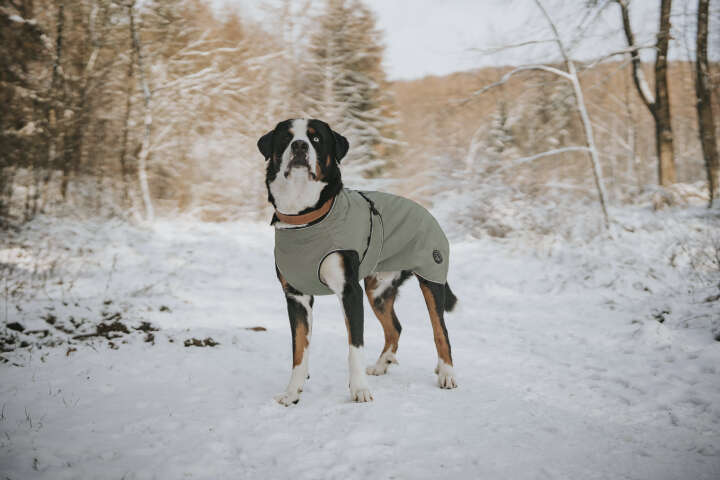 HUNTER Hundemantel Uppsala